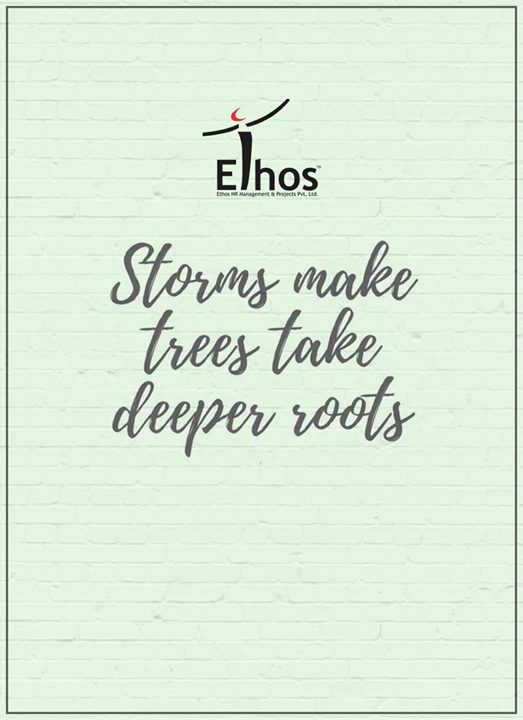 It’s only your tough times that make you stronger.

#QOTD #EthosIndia #Ahmedabad #EthosHR #Recruitment