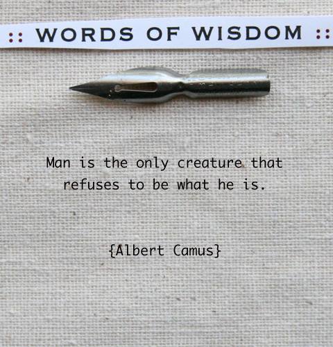 #Words of #Wisdom..